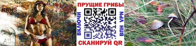 Псилоцибиновые грибы прущие грибы  где купить наркоту  Красково 